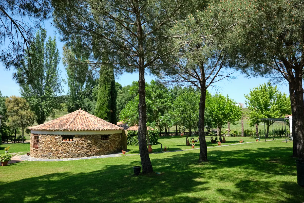 alojamiento-rural-los-chozos-de-monfrague_84